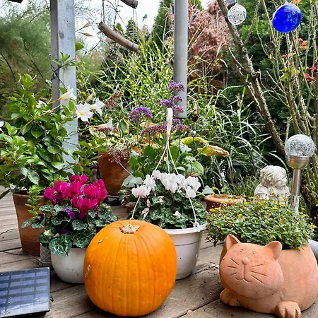 ☆gemuetliche 1-zimmerwohnung Mit Terrasse☆ アパート