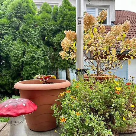 ☆gemuetliche 1-zimmerwohnung Mit Terrasse☆ * Rielingshausen